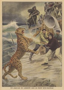 Bir gemide kaçak bir jaguar (renkli taş) by French School