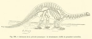 Jura döneminin hayvanları, Brontosaurus (gravür) by French School