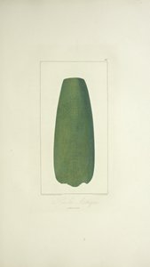 Aztek Baltası, Alexander von Humboldt ve Aime Bonpland tarafından 