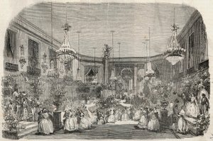 Bal, Ile Saint Louis