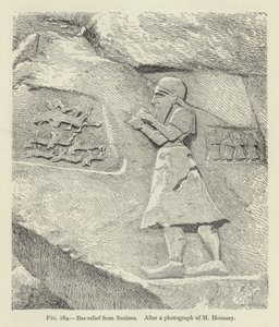Susiana