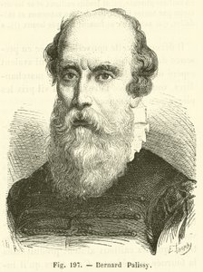 Bernard Palissy (gravür) by French School