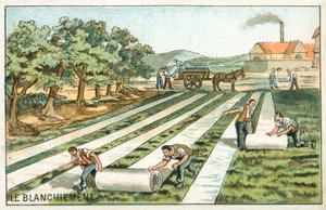 Ağartma (kromolito) by French School