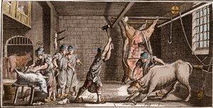 Boucher - Kasaplık - Kasaplık - “” Büyük Ansiklopedi veya Dictionnaire Raisonne des Sciences, des Arts et des Metiers” (Bilim, Sanat ve Meslek Ansiklopedisi veya Sözlüğü) Denis Diderot (1713-1784) ve Jean d