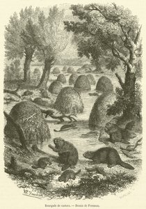 Bourgade tekerlekler (gravür) by French School
