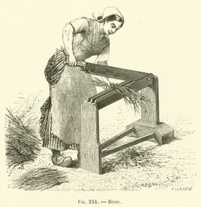 Broie (gravür) by French School