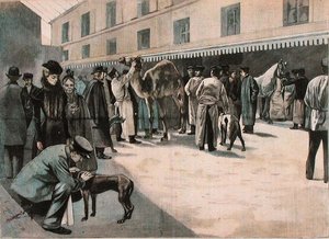 Ecole Nationale Veterinaire d