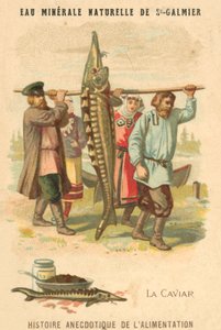 Havyar (kromolitho) by French School