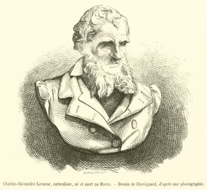 Charles-Alexandre Lesueur, doğa bilimci, Le Havre