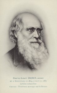 Charles Darwin (1809-1882), İngiliz doğa bilimci (lito) by French School