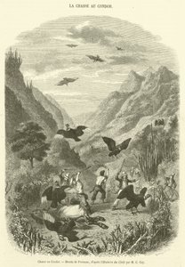 Akbaba Avı (gravür) by French School