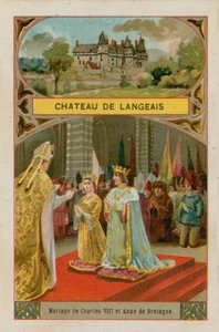 Langeais Şatosu by French School