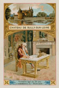 Sully-sur-Loire Şatosu by French School