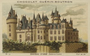 Chateau de dUsse, Indre-et-Loire by French School