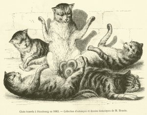 1683