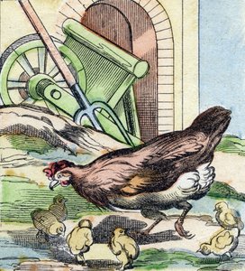 Tavuk ve civciv. "Buffon Alphabet des Oiseaux n 2" de gravür. 3. Serie N 2. Epinal
