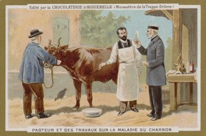 Chocolat dAiguebelle ticaret kartı by French School