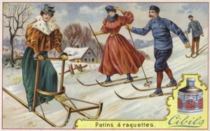 Kayak ve kızak özellikli Cibils kartı by French School