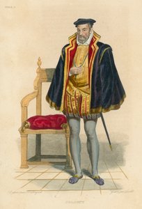 Coligny (renkli gravür) by French School