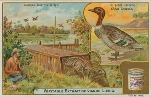 Ortak Deniz mavisi; ördek yakalamak by French School