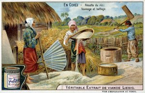 Coree: pirinç hasadı, dokuma ve harman - kromo. Liébig, v.1900 by French School