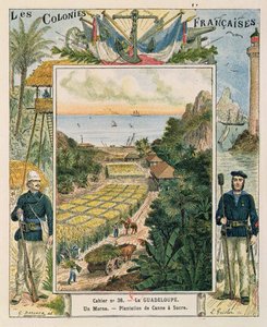 Guadeloupe'de bir şeker kamışı plantasyonunu tasvir eden bir okul alıştırma kitabının kapağı, 1892 by French School