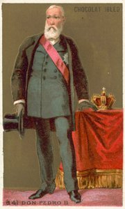 Don Pedro II, Brezilya İmparatoru by French School