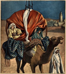 Dromedary bir ulaşım aracı olarak kullanılır. Tunus, Afrika by French School