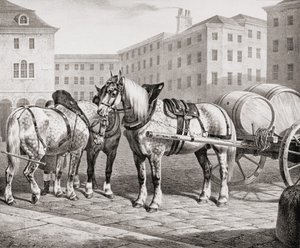 İngiliz Çiftlik Atları, 1823 by French School