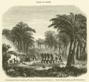 Whyda, Gine, Slave Coast