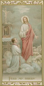 koyunlarımı besle by French School