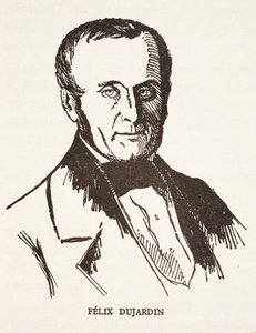 felix dujardin by French School