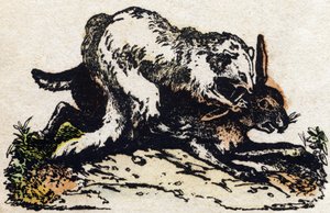 Gelincik. “Alphabet des animaux sauvages” içinde gravür. 9. Seri. Epinal