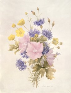 Tarla Çiçekleri, 1842 (kağıt üzerinde wc) by French School