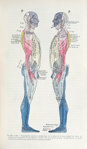 381 & 382 Sinir sistemi, Semiologie des Affections du System Nerveux, J. Dejerine, 1914 by French School