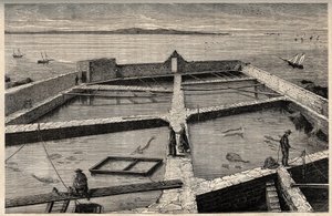 Concarneau