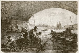 Seine