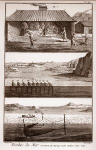 Balıkçılık, ringa balığı ve sardalye - Peches de Mer - Ringa balığı et des sardalya sorretterie - “” La Grande Encyclopédie, ou Dictionnaire Raisonne des Sciences, des Arts et des Metiers”” (Encyclopedia or Dictionary of the Sciences, Arts and Professions) by French School