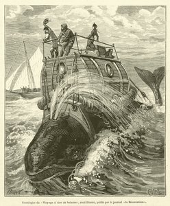 Bir balinanın arkasındaki Voyage