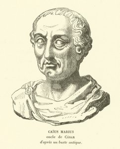 Gaius Marius, Julius Caesar