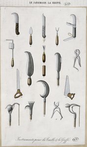 Aşılama ve budama için bahçe aletleri (renkli gravür) by French School