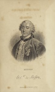 Georges-Louis Leclerc, Buffon Kontu by French School
