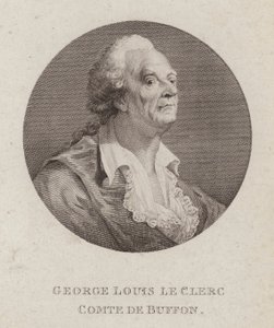 Georges-Louis Leclerc, Comte de Buffon, Fransız doğa bilimci (gravür) by French School