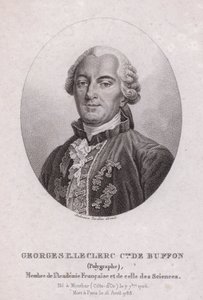 Georges-Louis Leclerc, Comte de Buffon, Fransız bilim adamı ve yazar (gravür) by French School