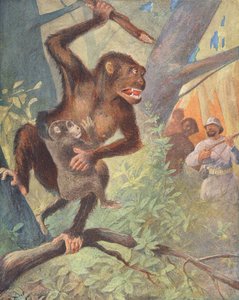 Goriller (renkli lito) by French School