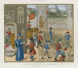 Asma yetiştirmek ve şarap yapmak by French School
