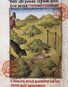 Tavşan Avı - “” Gaston Phoebus