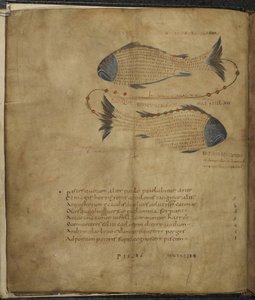 Harley 647, f.3v Takımyıldız Balıklarının İllüstrasyonu, Marcus Tullius Cicero tarafından 