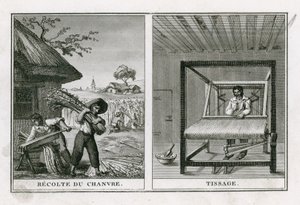 Kenevir hasadı ve kenevir dokuma by French School