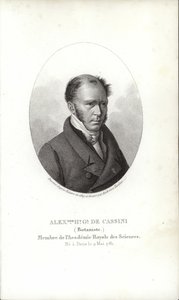 Henri cassini by French School